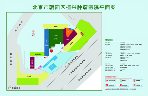 调教少萝啊啊啊啊北京市朝阳区桓兴肿瘤医院平面图